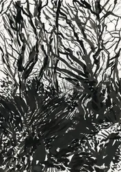 Ham Common Woods (tusz i grafit na papierze)