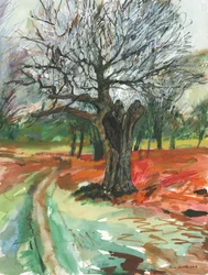Stare drzewo, Richmond Park, 2019 (ołówek akwarelowy i farba akrylowa na papierze)