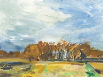 Richmond Park, 2018 (akwarela na papierze)