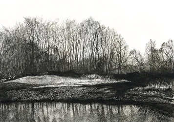 Drzewostan brzozowy, plaża Burying Hill (tusz na papierze)