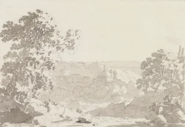Modrzew