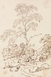 Drzewo krokami