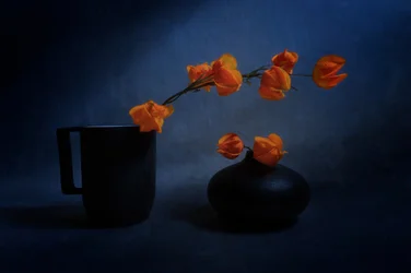 Jesienna martwa natura z lampionami