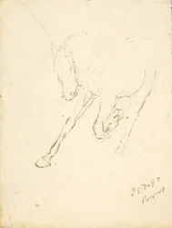 Koń