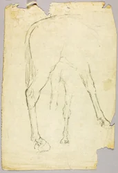 Koń