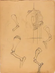 Szkicownik