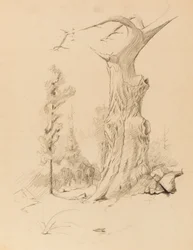 Bez tytułu