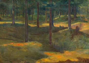 Frogner siedzi w lesie