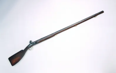 Bobbejaanbout (tyłek ud pawiana)