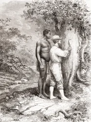 Jules Crevaux, podczas eksploracji Gujany Francuskiej w 1878 r., wyrył swoje inicjały na drzewie nad brzegiem rzeki Oyapock lub Oiapoque