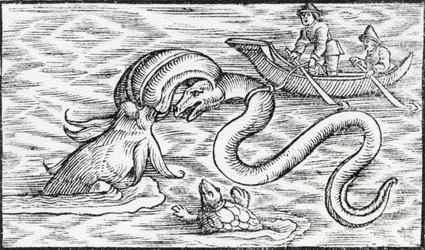 Potwory morskie, 1511