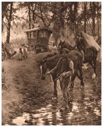 Nomadzi, 1903.