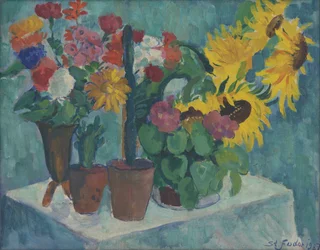 Martwa natura