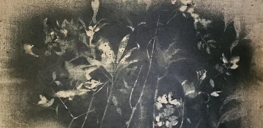 Mroczne studium botaniczne