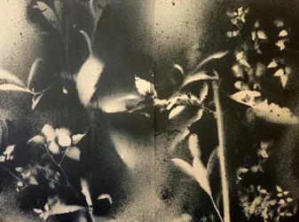 Eteryczne formy botaniczne