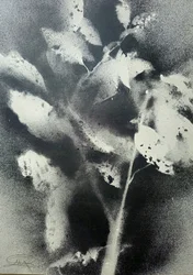 Monochromatyczne studium botaniczne