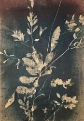 Niebieskie motywy botaniczne vintage