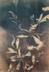 Niebieskie motywy botaniczne vintage