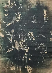 Botaniczne sylwetki vintage
