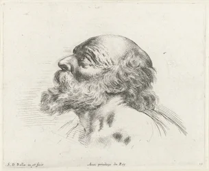Głowa łysego starca z brodą, z profilu po lewej (prawdopodobnie św. Piotr) Podstawy rysowania (tytuł serii) I principii del disegno (tytuł serii)