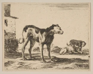 Tabliczka 11: psy, z różnych zwierząt Diversi animali, ca. 1641.