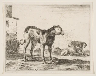 Tabliczka 11: psy, z różnych zwierząt Diversi animali, ca. 1641.