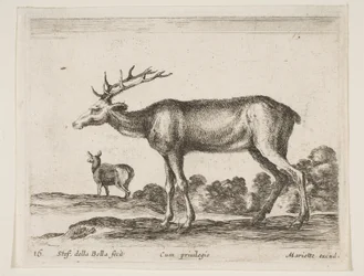 Płyta 16: jeleń, z różnych zwierząt Diversi animali, ca. 1641.