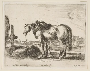 Tabliczka 22: koń zaprzęgowy, z różnych zwierząt Diversi animali, ca. 1641.