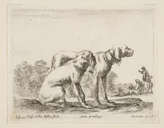 Tablica 23: dwa psy, z różnych zwierząt Diversi animali, ca. 1641.