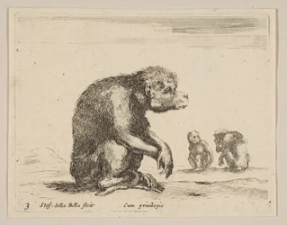 Tabliczka 3: siedząca małpa, z różnych zwierząt Diversi animali, ca. 1641.
