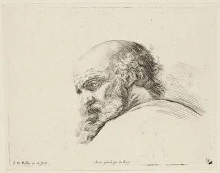 Studium (I principii del disegno, 18)