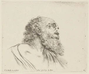 Studium (I principii del disegno, 19)
