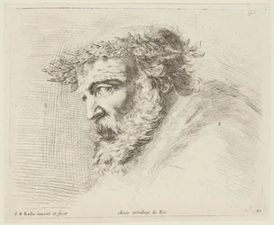 Studium (I principii del disegno, 20)