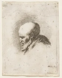 Głowa łysego i brodatego starca