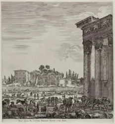 Świątynia Antonina i Campo Vaccino