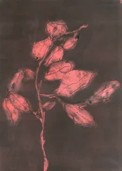 Foliage I, 2015 (monoprint na papierze)