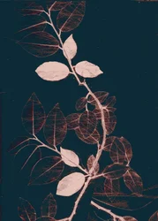 Freyr VII Dark Copper, 2018 (wersja cyfrowa)