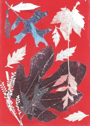 Jol XII, 2017 (monoprint na papierze)