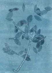 Ogród o północy I, 2015