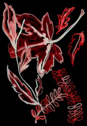 Flora nocna I, 2018 (cyfrowy)