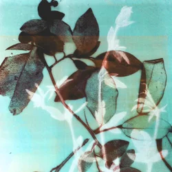Sezon III, 2018 (w wersji cyfrowej)