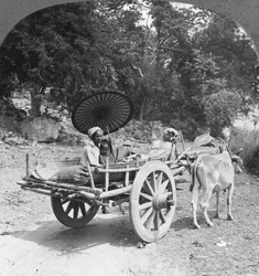 Rodzinna podróż przez dżunglę w pobliżu Mingun, Birma, 1908