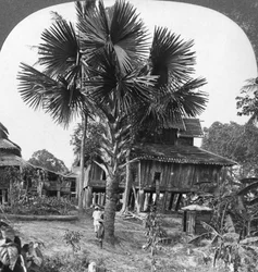 Rodzimy dom zbudowany na palach, Bhamo, Birma, 1908