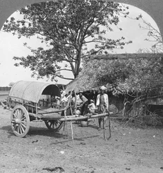 Wiejski dom zbudowany z bambusa i liści, Birma, 1908.