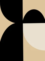 Abstrakcyjne krzywe geometryczne