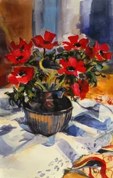Zawilce czerwone, 1994,