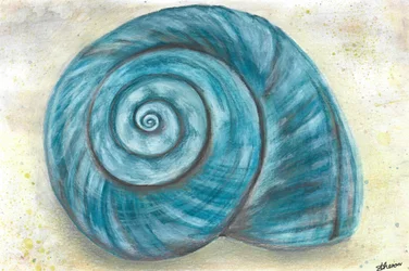 Niebieska spiralna muszla