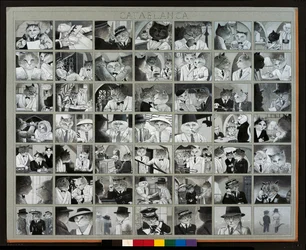 Ilustracja z Cats Galore! A Compendium of Cultured Cats (wyd. 2015)
