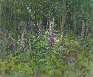 Naparstnice