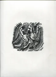 Tropikalne motyle (drzeworyt)
